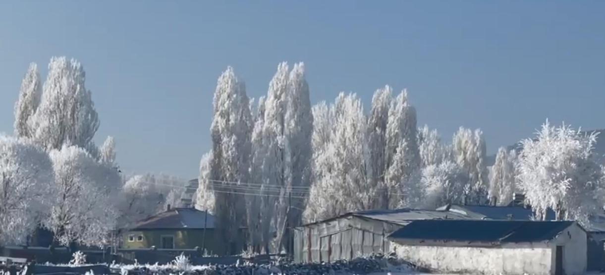 Eksi 20 derece soğukla mücadele: Göle’de hayat buz kesti