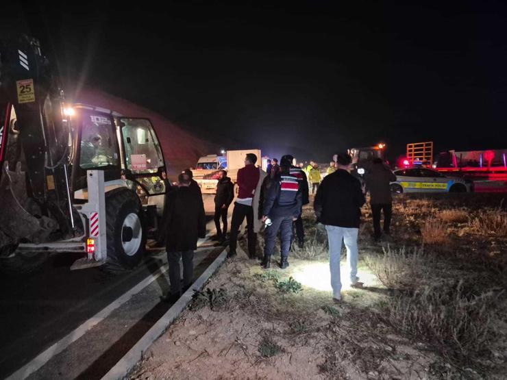 Milyonluk yarış tayları çiftlikten kaçtı 8i öldü, bazıları kayıp