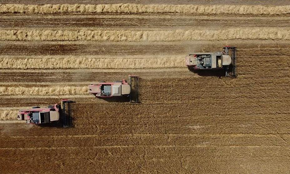 TİGEM İŞÇİ ALIMI 2026: TİGEM 254 Personel Alımı İŞKUR Başvuru Sonuçları Açıklandı Mı Sonuçlar Nereden Öğrenilir