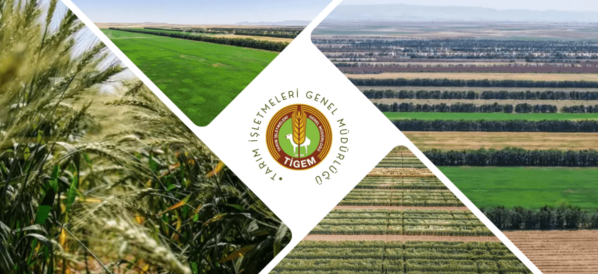 TİGEM İŞÇİ ALIMI 2026: TİGEM 254 Personel Alımı İŞKUR Başvuru Sonuçları Açıklandı Mı Sonuçlar Nereden Öğrenilir