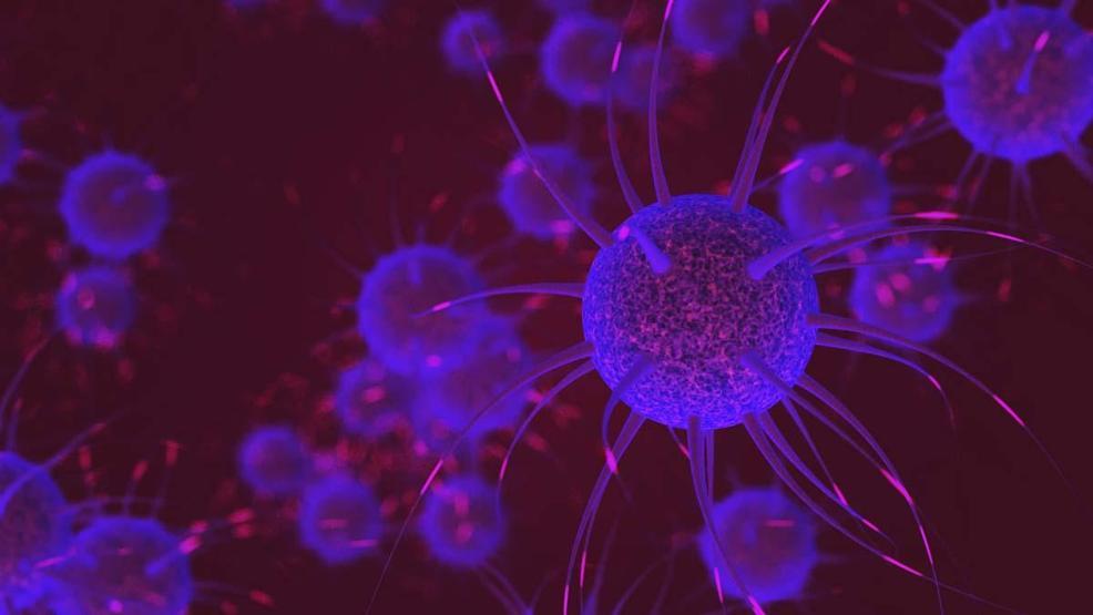 MS’in iki yeni biyolojik alt tipi yapay zeka ile ortaya çıkarıldı Bu keşif MS’in tanı ve tedavisini nasıl değiştirebilir