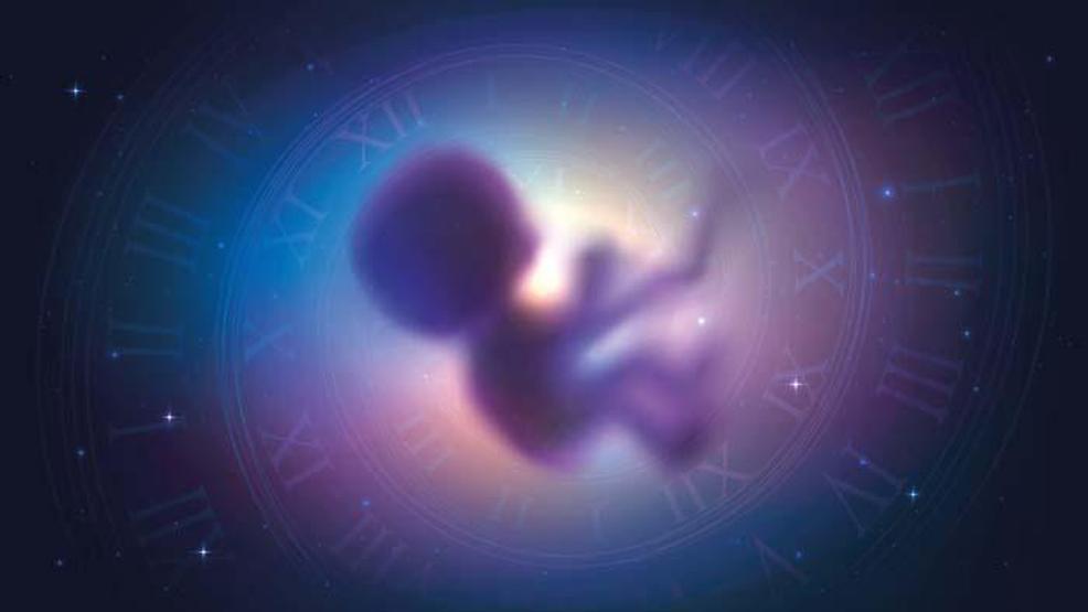 2026ya Damga Vuracak Trendler: Uzayda Doğacak İlk Bebek İçin Hazırlıklar Başladı İşte 2026da Sosyal, Hukuki ve Etik Açıdan Dünyayı Derinden Etkileyecek Gelişmeler