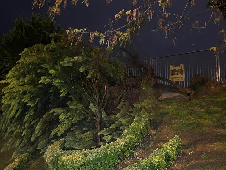 İstanbulu sağanak vurdu: Yol çöktü, ağaçlar devrildi 1 kişi yaralandı