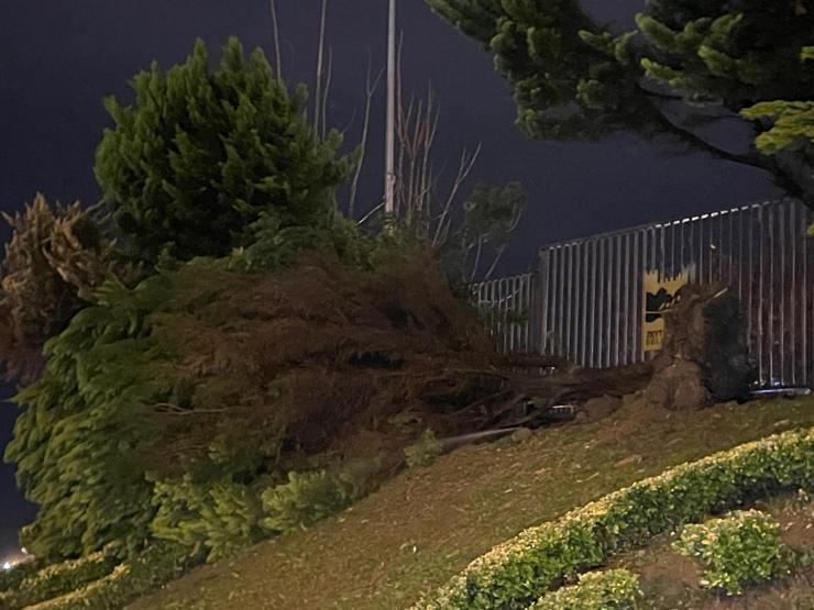 İstanbulu sağanak vurdu: Yol çöktü, ağaçlar devrildi 1 kişi yaralandı