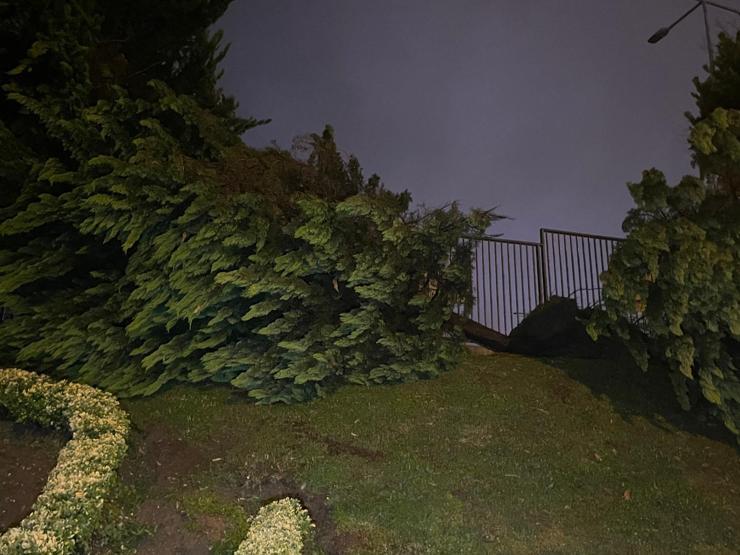 İstanbulu sağanak vurdu: Yol çöktü, ağaçlar devrildi 1 kişi yaralandı