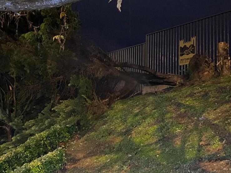 İstanbulu sağanak vurdu: Yol çöktü, ağaçlar devrildi 1 kişi yaralandı