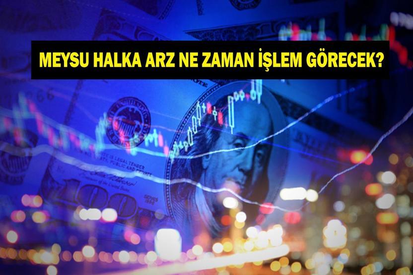 MEYSU HALKA ARZ NE ZAMAN İŞLEM GÖRECEK Meysu halka arz kaç lot verdi Halka arz sonuçları belli oldu