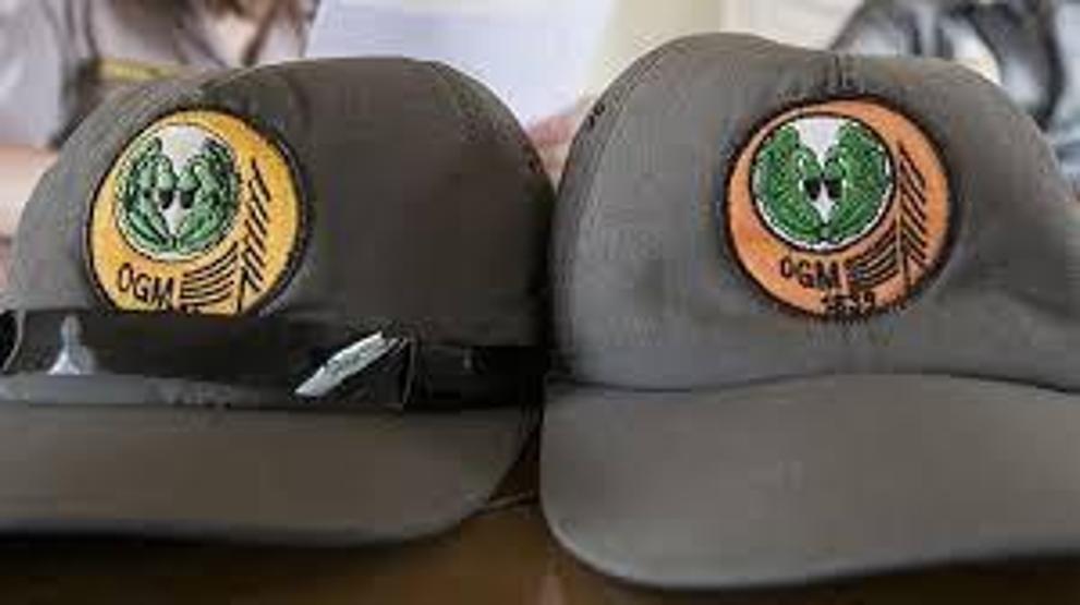 Orman Genel Müdürlüğü (OGM) personel alımı sonuçları ne zaman açıklanacak