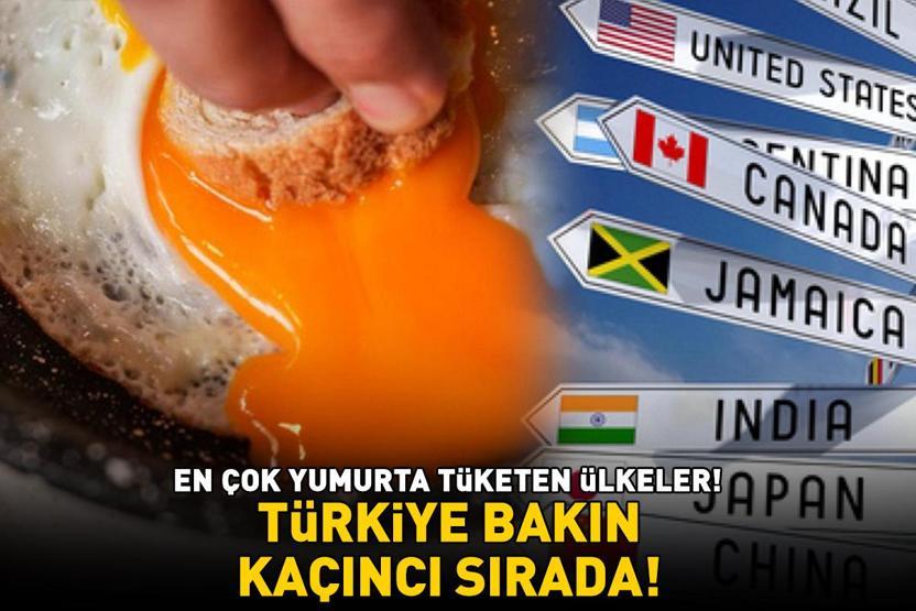 EN ÇOK YUMURTA TÜKETEN ÜLKELER Faydaları saymakla bitmiyor: A, B12, B2 vitaminleri ile bağışıklığı güçlendiriyor Türkiye bakın kaçıncı sırada