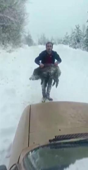 Görüntüler çok konuşulmuştu Domuzu yakalayan vatandaşla ilgili yeni karar
