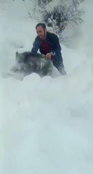 Görüntüler çok konuşulmuştu Domuzu yakalayan vatandaşla ilgili yeni karar