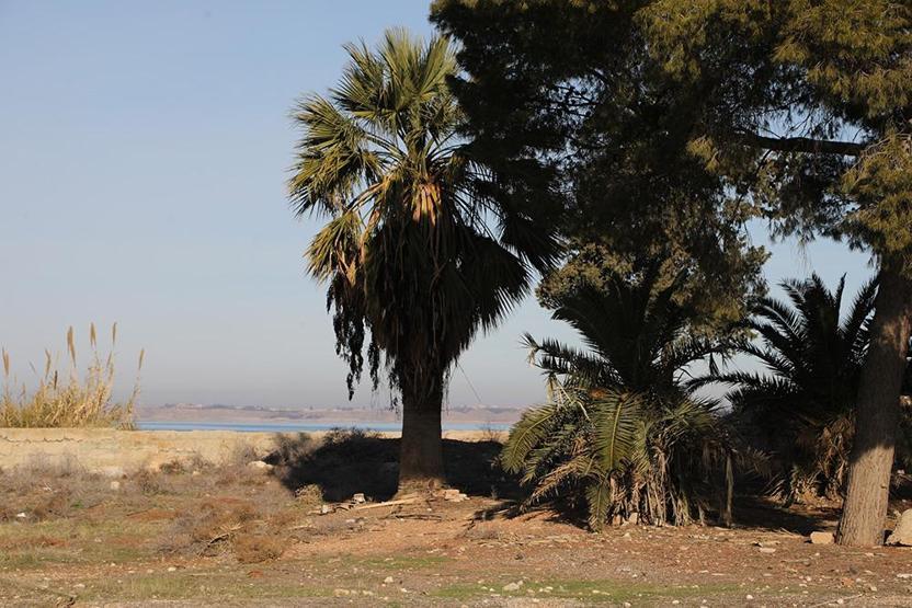 Terörden arındırılan Süleyman Şah Türbesi bölgesi havadan görüntülendi