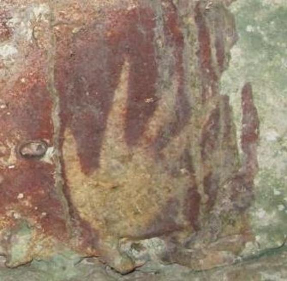 TARİH YENİDEN YAZILIYOR ‘Avrupa merkezci’ teori sarsıldı: Asya’dan gelen ‘pençe’ keşfi bilinenleri değiştirecek…