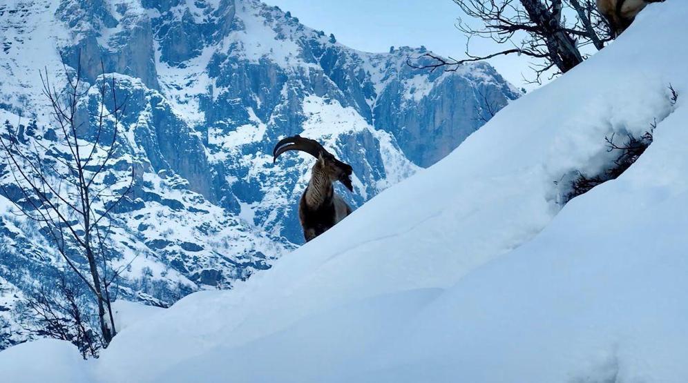 SON DAKİKA | Dikkat Meteoroloji tek tek uyardı: 7 ilde sarı kodlu alarm Sağanak, fırtına, gök gürültüsü...