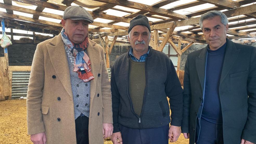 Sisli havada köye inen kurt, ağıldaki 200 koyunu öldürdü