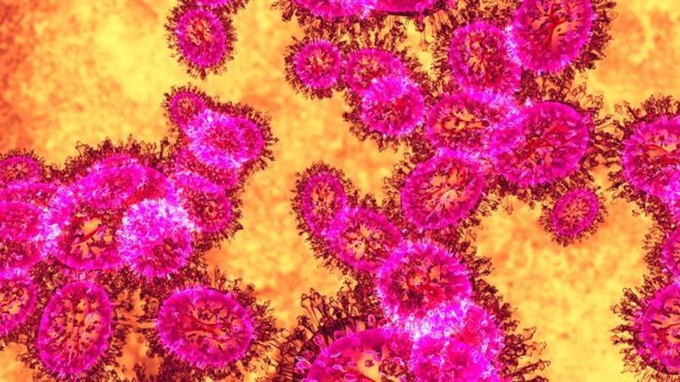 Nipah Virüsüne Karşı Küresel Endişe: Sağlık Taramaları Başlatıldı Uzmanları Uyarıyor Nipah Virüsü Nedir, Nasıl Bulaşır, Belirtileri Neler