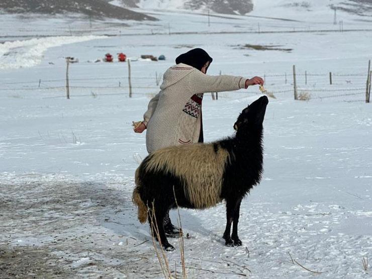 Ayrılmaz ikili Görenlerin yüreği ısınıyor