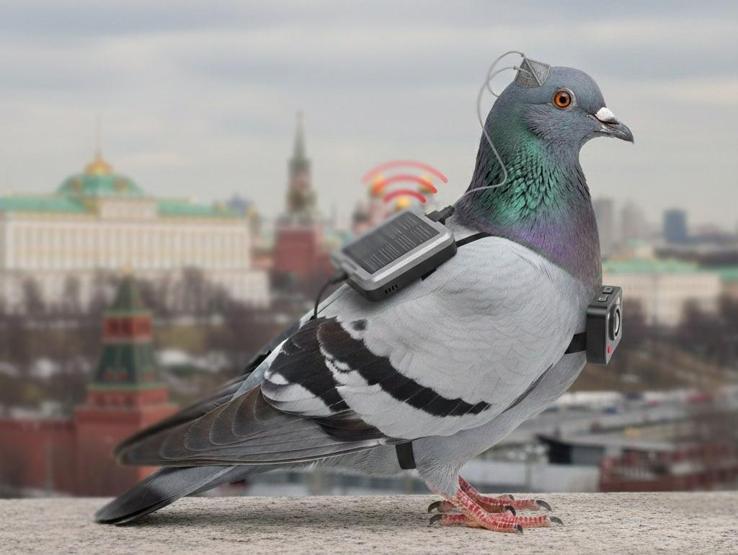 Kremlin’in yeni gözü: GÜVENCİNLER Birer casusa dönüştürülüyorlar... Projenin ucunda Putinin kızı var