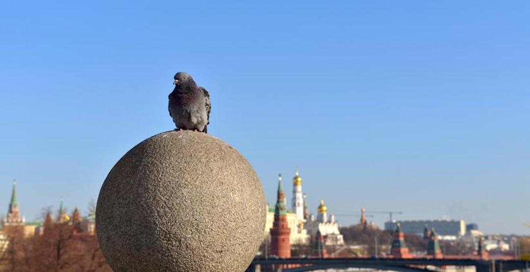 Kremlin’in yeni gözü: GÜVENCİNLER Birer casusa dönüştürülüyorlar... Projenin ucunda Putinin kızı var