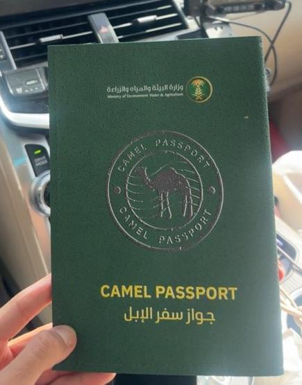 Artık develerin de pasaportu olacak Suudi Arabistandan dikkat çeken hamle...