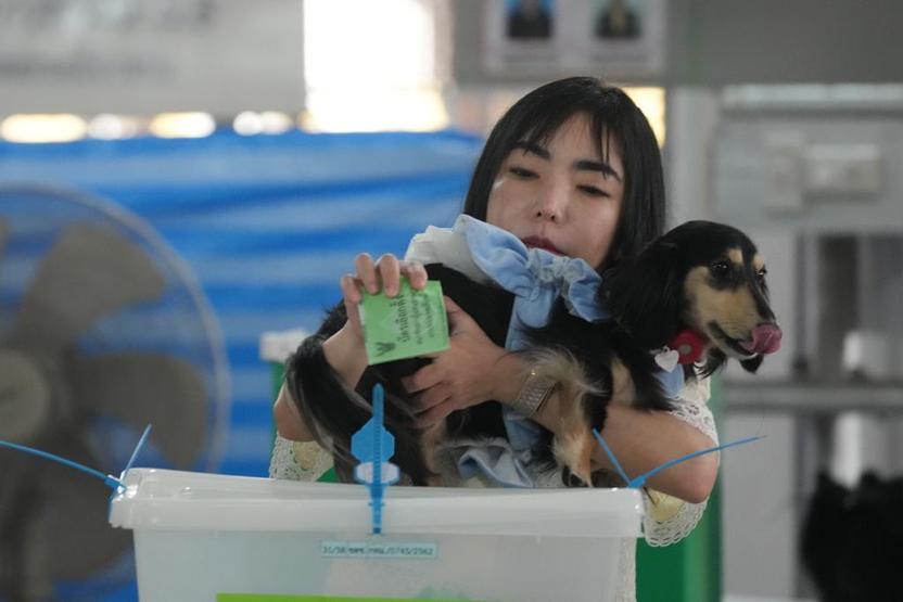 Üçü bir arada seçim: Tayland sandık başında