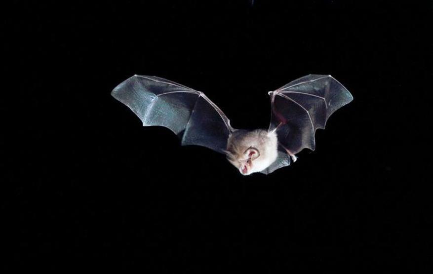 Beyaz ışıklar sönüyor, yerine ‘kırmızı’ geliyor Avrupa ülkelerinde sokaklardaki değişimin nedeni ne