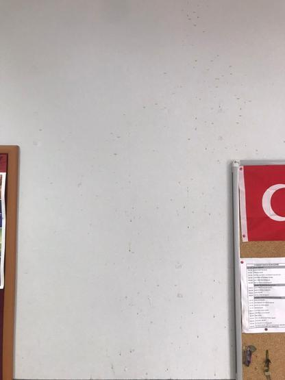 Eskişehirde okulda skandal olay Öğretmen, meslektaşının yüzüne sıcak çay fırlattı