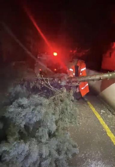 Ege ve Akdenizde sel: Yollar göle döndü, vatandaşlar mahsur kaldı, okullar tatil edildi