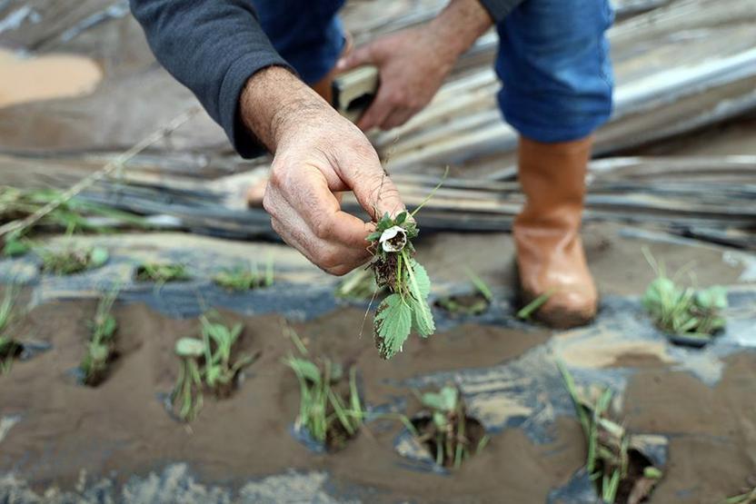 Tüm birikimlerini 1 saatte kaybettiler: Böyle afet yaşamadık