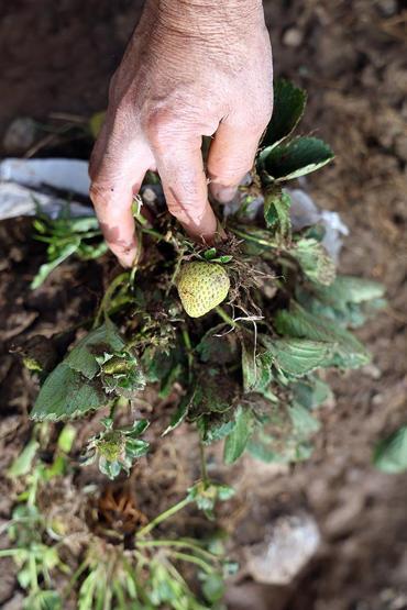 Tüm birikimlerini 1 saatte kaybettiler: Böyle afet yaşamadık