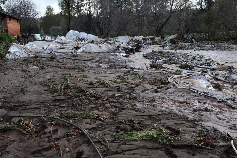 Tüm birikimlerini 1 saatte kaybettiler: Böyle afet yaşamadık