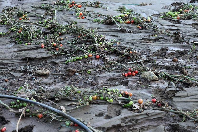 Tüm birikimlerini 1 saatte kaybettiler: Böyle afet yaşamadık