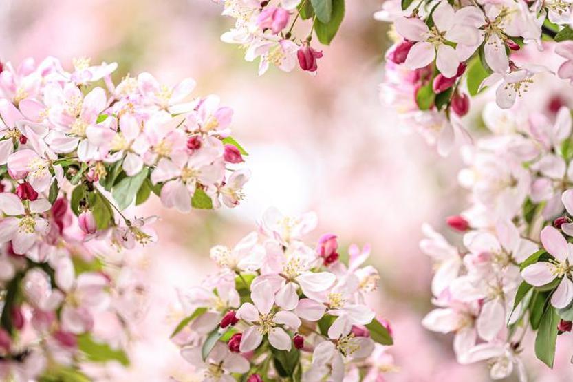 2026 Nevruz Bayramı Ne Zaman, Hangi Güne Denk Geliyor Nevruz Bayramı Gelenekleri