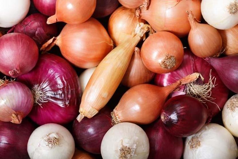 Binlerce Yıldır Mutfağın Şifa Kaynağı: Kırmızı Soğanın Antioksidan Gücü mü, Yeşil Soğanın Vitamin Fırtınası mı Daha Etkili