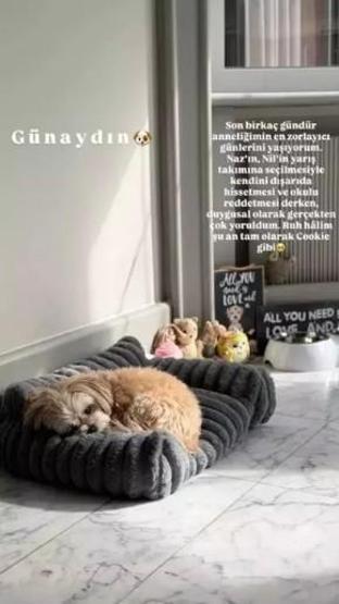 Buse Terim’den samimi itiraf: “Annelikte ciddi sınavlar verdim”