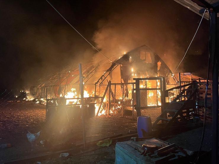 Bursadaki çiftlikte korkunç yangın 580 hayvan öldü