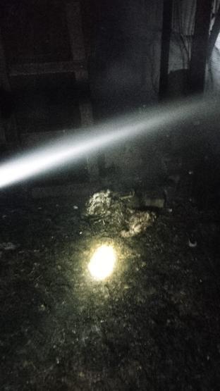 Bursadaki çiftlikte korkunç yangın 580 hayvan öldü