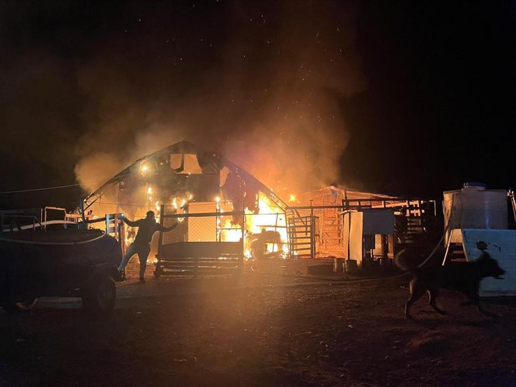 Bursadaki çiftlikte korkunç yangın 580 hayvan öldü