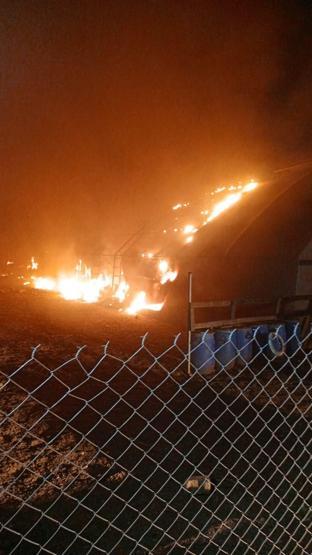 Bursadaki çiftlikte korkunç yangın 580 hayvan öldü