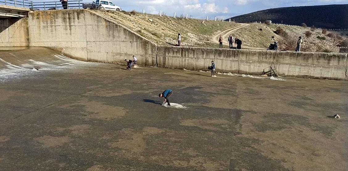 Taşan barajdan çuval ve kasayla balık yakaladılar