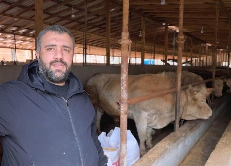1,1 tonluk kurbanlık Paşa, otomobil fiyatına satışa çıkarıldı