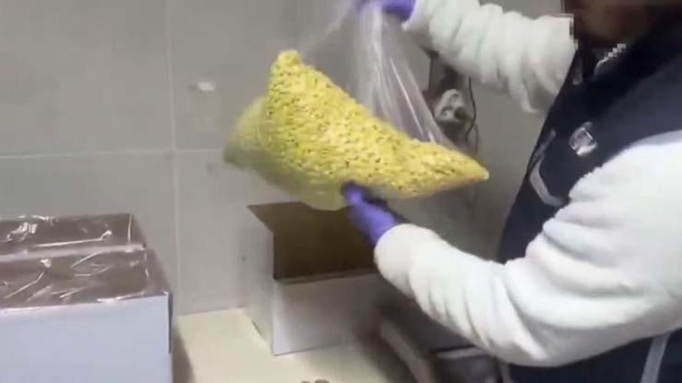 Milyonlarca kişinin sağlığıyla oynayacaklardı: Sahte ilaç operasyonunda 1 milyon 500 bin hap ele geçirildi