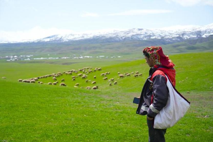 Genç besicilere büyük destek 100 küçükbaş hayvan temin edilecek