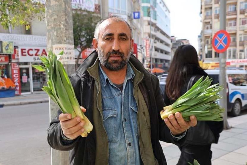 Doğal Antibiyotik Doğada Kendiliğinden Yetişiyor