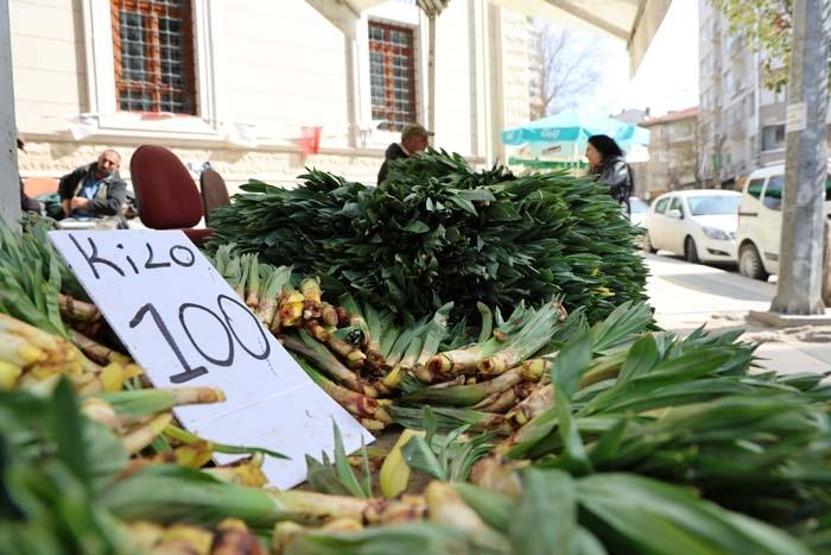 Doğal Antibiyotik Doğada Kendiliğinden Yetişiyor