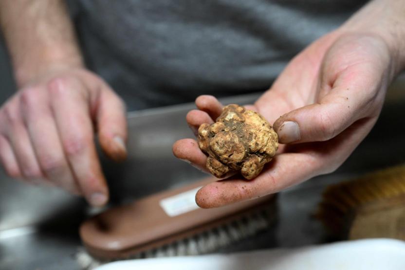 Türkiye’de keşfetti, Avrupa’ya satıyor Kilogramı 350 euro...