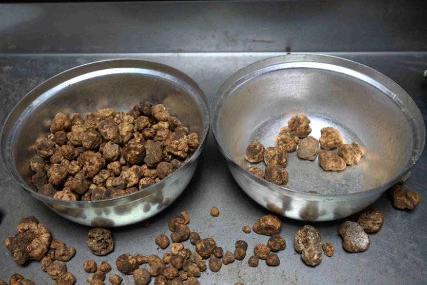 Türkiye’de keşfetti, Avrupa’ya satıyor Kilogramı 350 euro...