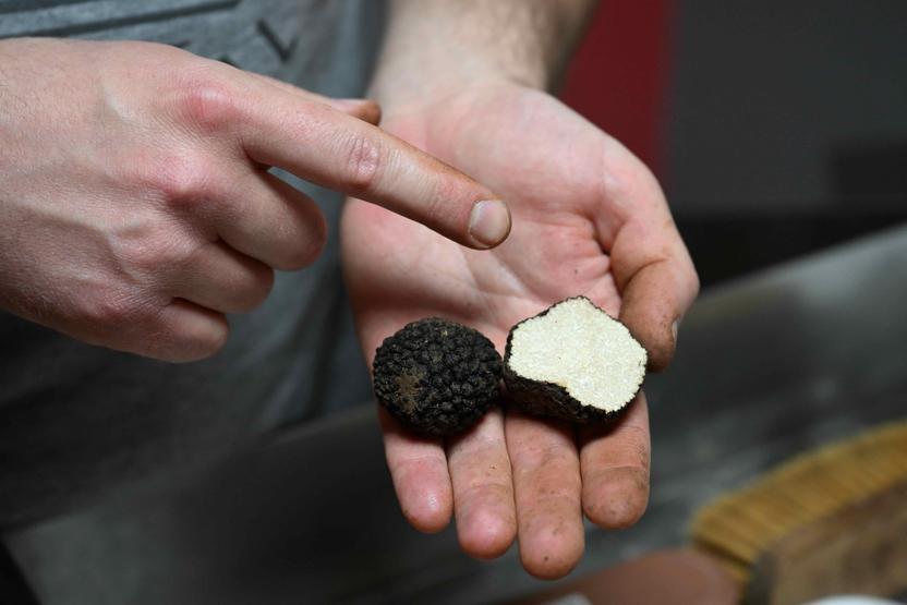 Türkiye’de keşfetti, Avrupa’ya satıyor Kilogramı 350 euro...