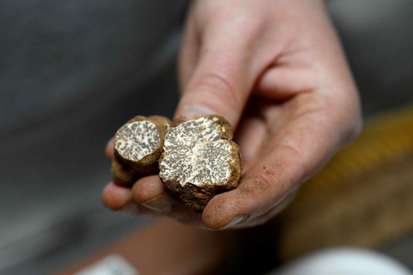 Türkiye’de keşfetti, Avrupa’ya satıyor Kilogramı 350 euro...