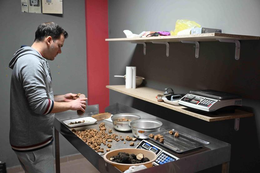 Türkiye’de keşfetti, Avrupa’ya satıyor Kilogramı 350 euro...